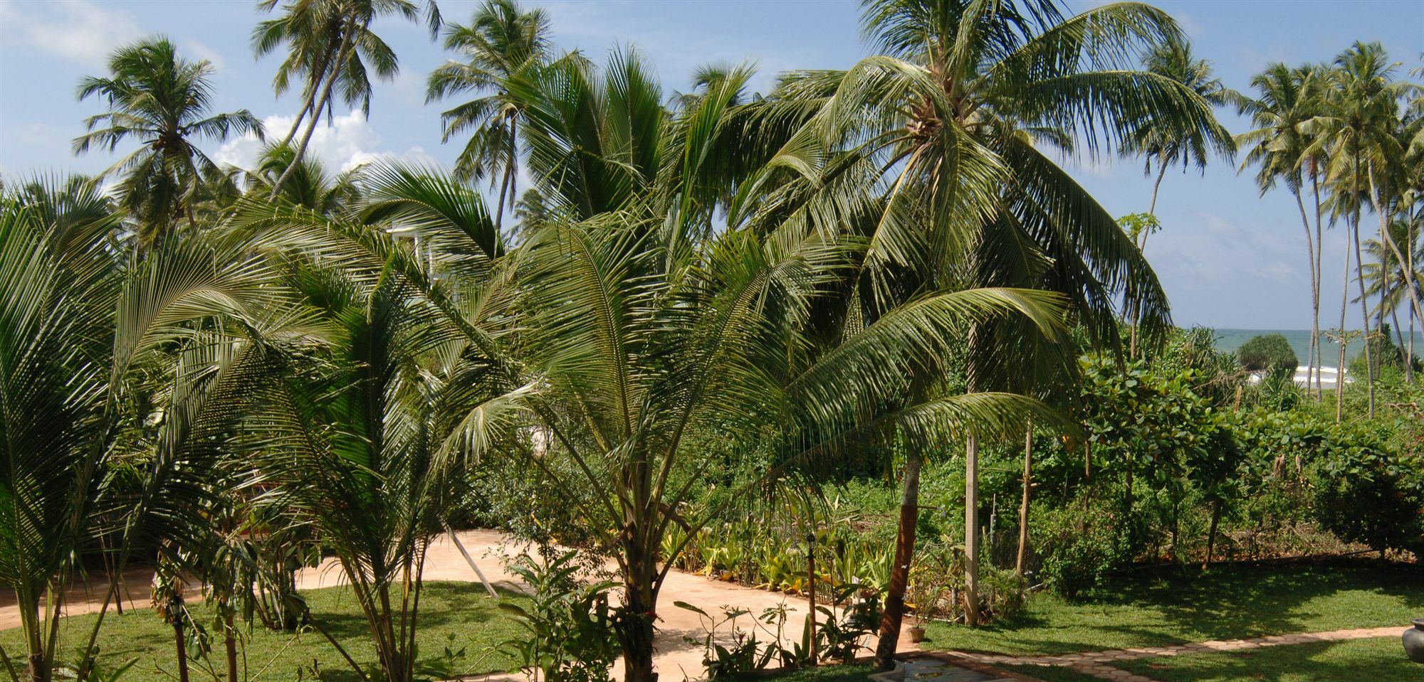 Wunderbar Beach Hotel Bentota Exterior photo